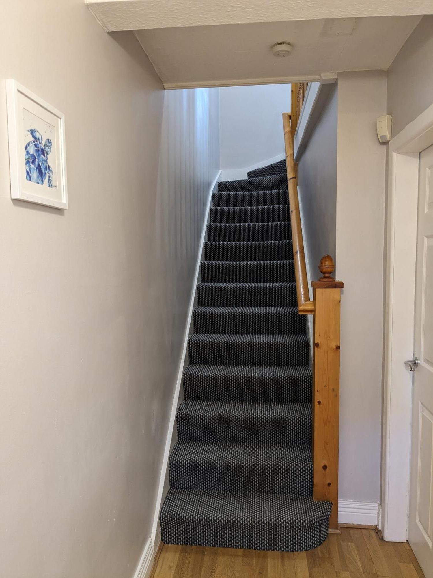 הוילה Heart Of Belfast With Private Garden מראה חיצוני תמונה