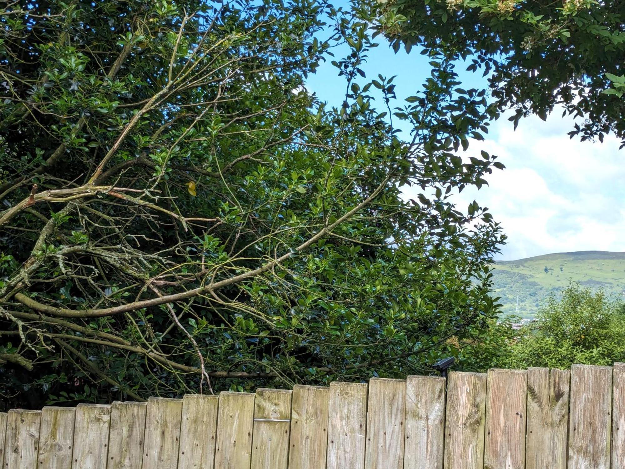 הוילה Heart Of Belfast With Private Garden מראה חיצוני תמונה